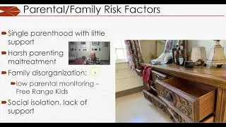 Module 2  Parental Risk Factors for Child Maltreatment