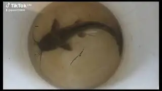 quá đã 😀😀