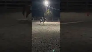 Kimble!!!! #horse #equestrianjourney #equestrian