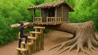 He Built a House on a Living Tree 😱 Nature Meets Genius! | tree house