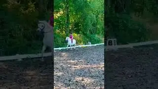 Tipps f&uuml;r einen besseren sitz ?