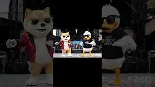 #dogtheme #dancingmeme #animalshorts #absurd #deadpan #dogmeme #shibadog #dogshorts