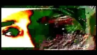 dislasystem; dismemberment