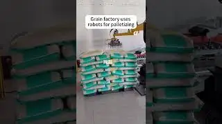 Industrial robots are used in grain factories. #machine #roboticpalletizer #palletizer #palletizing