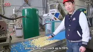 Customized Garlic Powder Production Line Garlic Flour Production Equipment Garlic Machines