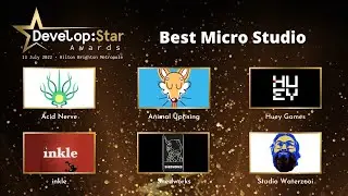 Huey Games at the Develop Star Awards