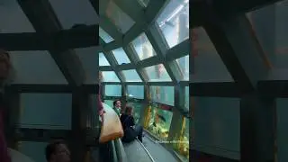 UNDERWATER DOME #shorts