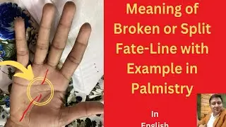 Fate Line in Palmistry-: Broken, Breaks, splits and Continues with Example in English.