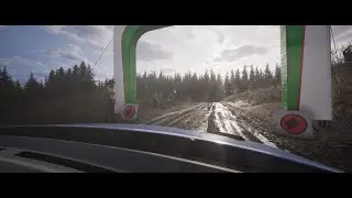 Assetto Corsa Rally - Wales (co-driver POV)