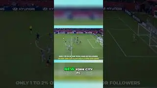 NYCFC FANS!