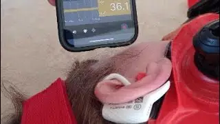 c-med&deg; alpha in-ear monitoring device by Cosinuss GmbH