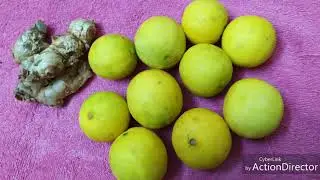 Homemade Ginger lemon cordial
