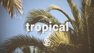 'On The Wave' by Groove Bakery 🇺🇸 |  Relaxing Tropical House (Non Copyrighted Music) 🍹