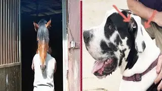 Most Hilarious Coincidences Ever Taken