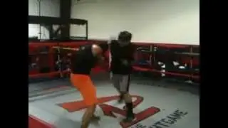NEXT LEVEL MMA - TRAILER