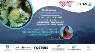 Reef Lecture Series: Reefs of Wonder: The Fragile Reproduction of Coral Life in a Changing Ocean
