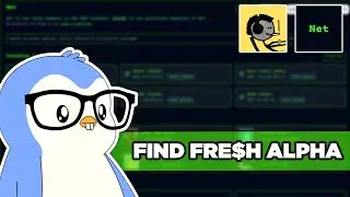 Base Memecoins & Alpha Dashboard | FrogCast 1: Net Protocol ($WANKR, $ALPHA, $NETBOT)