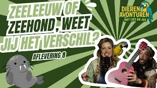 🦭 Wat is het verschil tussen een zeehond en zeeleeuw? | Dierenavonturen (S1A8)