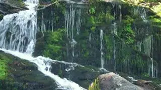 Fragile Beauty | Music by Liborio Conti | Beautiful Nature for Relaxation