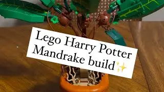 Harry Potter Mandrake lego build! #lego #legofamily #legobuilds #momswholego #harrypotter