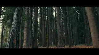 In awe with nature!. Music by Tulio Cremisini.