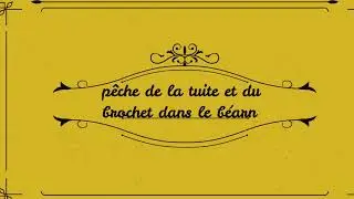 p&ecirc;che de la truite et du brochet dans le b&eacute;arn