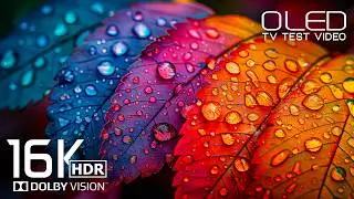 Extremley Stunning OLED TEST Video | 16K HDR Dolby Vision 120fps for 8K Video/4K Video ULTRA HD TV