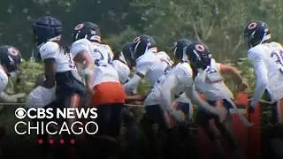 Practice gets physical at Bears training camp
