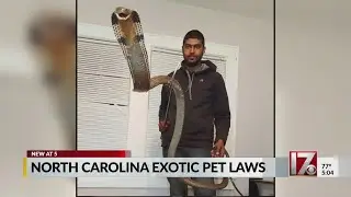 NC has some of most relaxed laws on owning exotic animals