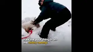 Humaneness