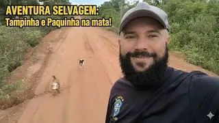 Elas não paravam! Caminhada selvagem com as dogs, terrenos disponíveis 😃