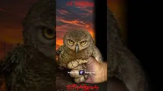 Horror Editing | Ai Photo Editing #shorts #shortsfeed #ai #photoediting