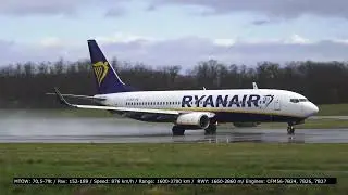 Boeing 737 Family Compilation