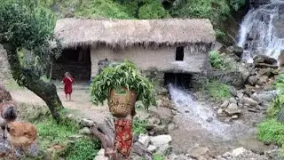 Himalay village  life in buffalo in the mountain village  life in nepal 