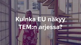 Kuinka EU n&auml;kyy TEM:n arjessa?