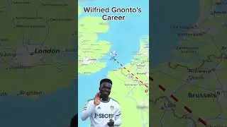 Wilfried Gnonto's Career#wilfried #gnonto#career #football #soccer