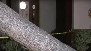Latest headlines: Wind causes damage, man killed in police shooting and Super Bowl impact
