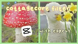 cottagecore filter || cottagecore filter using capcut 🌧🍄🌱