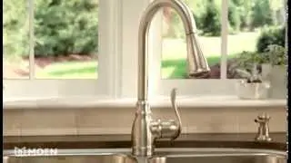 Anabelle&trade; Pulldown Kitchen Faucet with Reflex&reg;  |  Moen Features Spotlight
