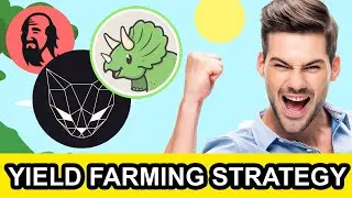 Polygon matic: farming 200USD per day with Qi Dao, Kunai, Polycat and DinoSwap