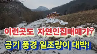 환상적인 곳에 자연인하기 딱 좋은 매매집이 있다고?