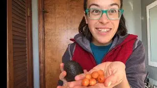 Kid-Friendly Natural Dye Project: Plant-Dyed Wooden Beads