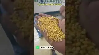 The Future of Pulse Sorting: Accurate and Efficient || Carter Unique Group