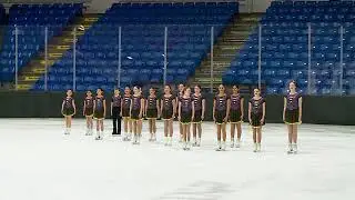 Hockettes | Preliminary Free Skate | 2026 Midwestern Synchronized Skating Sectional