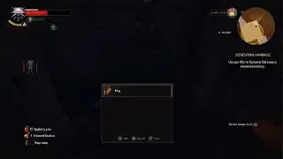 The Witcher 3: Wild Hunt iris greatest fear Boss