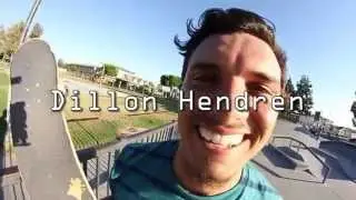 Flypaper 5 Pack - Dillon Hendren