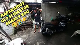 ANG PAG BABALIK ALINDOG NI ABY
