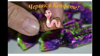 Осторожно! Червяк Сладкоежка в Конфете Крокант! Караганда 2020 | Cosper
