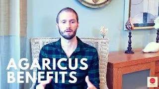 Agaricus Benefits: Immunity, Heavy Metal Detox & More