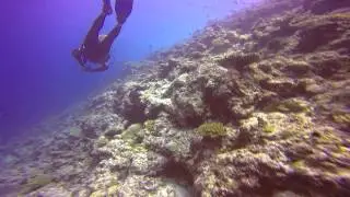 Diving in Maldives - GoPro Hero4 Silver - 1st Dive - Part 1